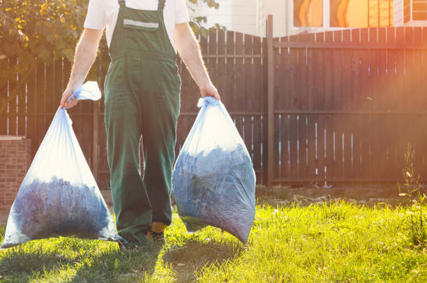 Best Trash Removal Near Me  in Wyandotte, MI